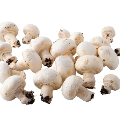 Шампиньоны свежие 500 г - купить в Елине